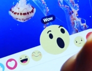 Câmara de Medianeira faz últimos ajustes para lançar transmissão de sessões ao vivo pelo Facebook!