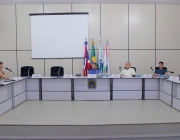 Comissões se reúnem com Conselho Municipal Previdência para tratar sobre projetos do Executivo