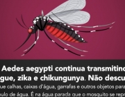 Não esqueça do mosquito Aedes aegypti
