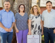 Projeto do Parlamento Jovem de Medianeira resulta em tombamento de Árvore Paineira